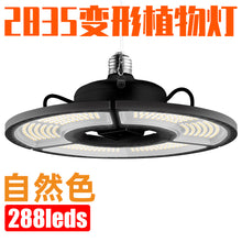 cf2ee25cb48276d9a2e3b9d4f97ae074