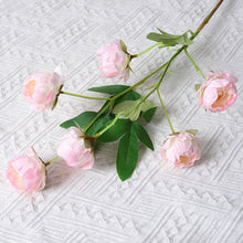 257d9bd4dfc26e7badd8dff3acf42db6