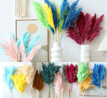 37430b8ffa6f93e931095d7d8dfe4cef