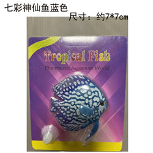 b928d6d494c08492ea833697de2b19b6