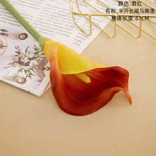 32b197e29de4ce8d01842bc5b984b007