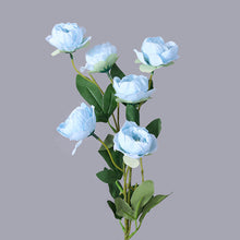 19175ddf3b75a3d2ea6d2772b8958fc4