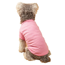 61c928255567cae146c06ce3a2c2d3e8