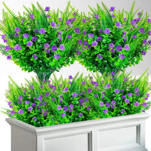 89d512502a83832da268069cbd2b26f6