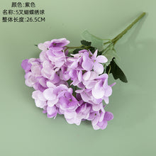 d598262aaa7b01a34d7de481a659bd46