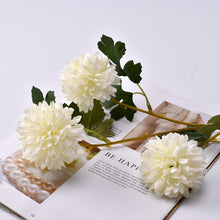 2220f6a103bc2de1f988cf81cb2e5855