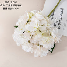 eedc04a24e13ef36461f528c40a509d5