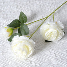 10a635addd27aa4aafb795c15ab0c820