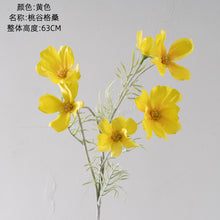 269c064bc5b3a63507b85af646b90e40
