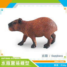 180516136ed7d2e8e99a4aa1878c4b14