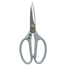 ca7a81169d7557f2471c707ebefe8321