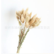 d8f29bc733e3e113db8048c08fa7f7bb