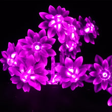 33fbb9104471fd6b5f809aad79543a90