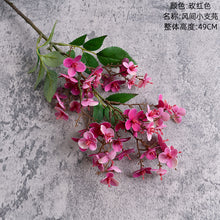 658edbc7f6d53b066cd59d41bb64458c