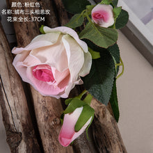 17dbf9ff405c90e245856db96023930e