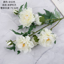 5c2c2968e892ec81031c9e1075bd799b