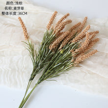 27fd736f130f021dd2763c90d159c0be