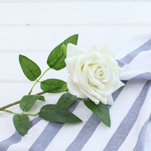 f00af897d39e217d2e2439cfe82c7b2d
