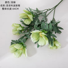 9ee216d94f0a237ad0d480b4203cec8f
