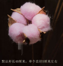 a7a04dd37d9cd04facc09dfb21e310f8