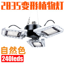 073c0856ba7034ecce15a743998f59ee