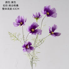 513e28b1490c63776c5512db7479b4b7