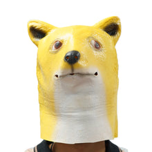 232ca1c504eefe62b431f7c6a6f35a78