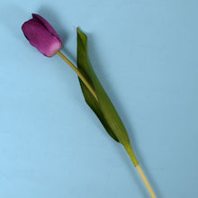 54f163f187fe3da17f4f99d122f1be62