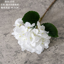 c9d50d72ca4b8e808a34c0f496585497