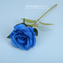 b00dc34627c13fbb15974cca05550a28
