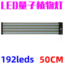81e5d57742e1e5e12ec0eaf66cb4b87f