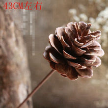 1f56f0dafede9d368d76e105b06da92b