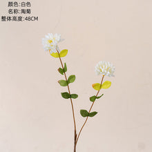 d78b5b1384439ecae88dc98aff679a43