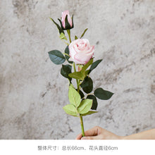 9617a110226a372db0a809b66fd93f74