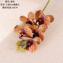 a68f194b9adb13a14ce56951bb50fbc3