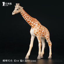 9a0a9b2a16f3ccb4cd92026ab664e645