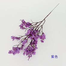 b5214d59630f17d30660a1df6e243a0e