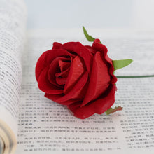 cb32c36f8e5bb240a2855046f18d6729