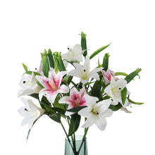 a2f1eb03706795669f0f2a56fda59a95