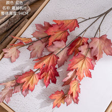 bed3ec4b6509950b5d32be1270279df2