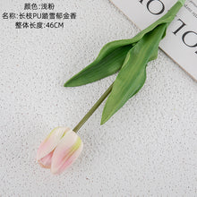b0acf9226961fdfcbd85a5fa5fa99b4e