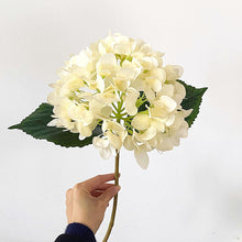 78c986ae3a74f1fe855a236dbb2e9c6b