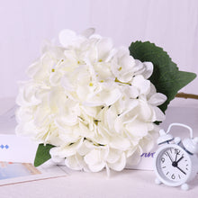 52b42dca6c75290c652d88e239ef0ad0