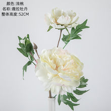 9f23e022020cdc34dfce8fa452e222c3