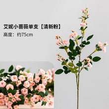 939604dacd54bd0eb825ec1da0011cbb