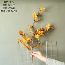 ba6732df5821896cce12f13a6d7426d6