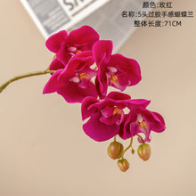 e70ac2529c0dcbc4e9b3a45a0105cf7e