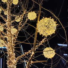 124f9f68c59bc9e99a2ae931d3e532fb