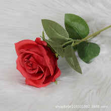 54990bc8cf9a30c51b02510dd9ea8c8b