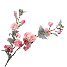ed1eae5ca752eab15a0a889dcbfa52d6
